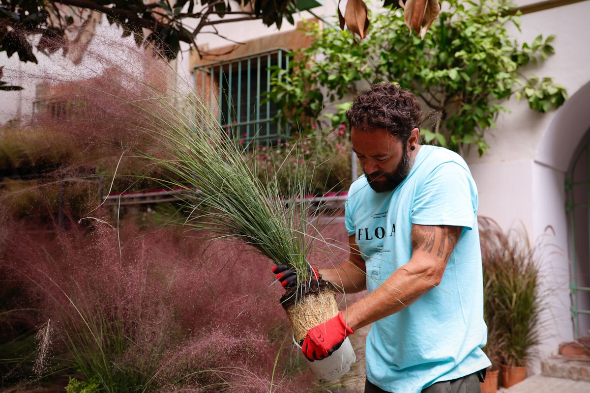 Comienza el montaje de las instalaciones de Flora 2025