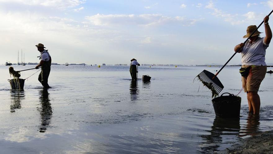 El Mar Menor empieza el curso aún descabezado