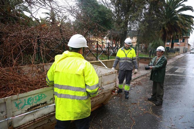 Galería | Rafa Mateos interviene tras el paso de la borrasca Kristin
