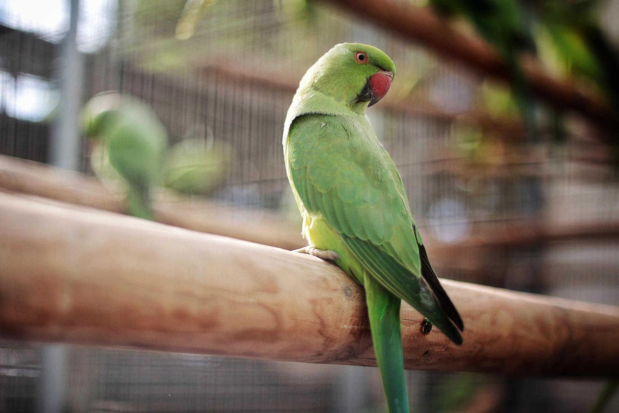 Centro de Fauna Exótica de Santa Cruz