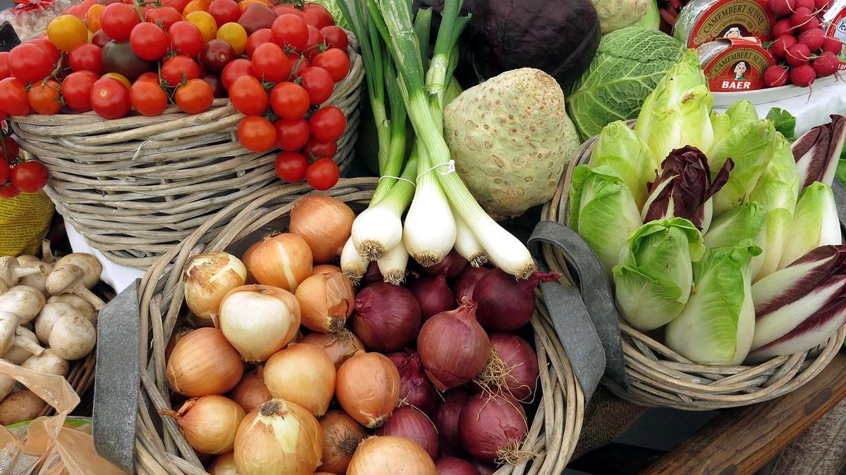 Alimentos quema grasa que debes introducir en tu dieta para adelgazar.