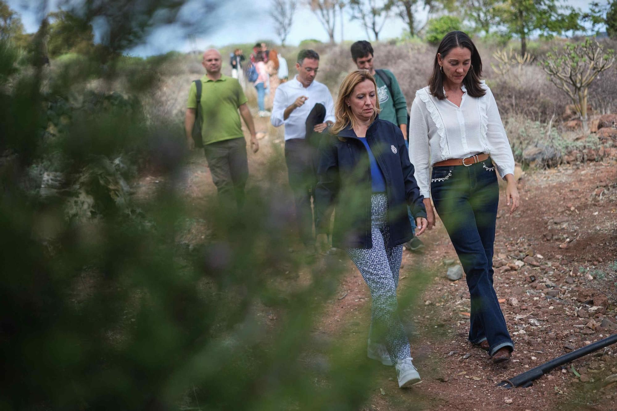 Recuperación ambiental en el Parque de Las Mesas