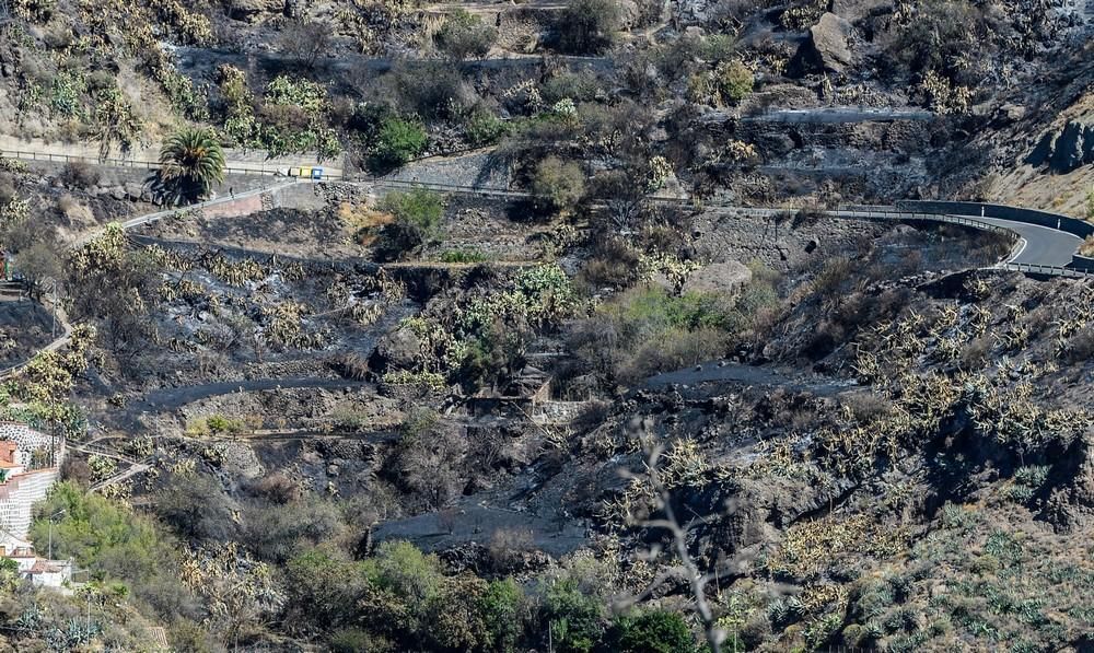 Tejeda tras el incendio