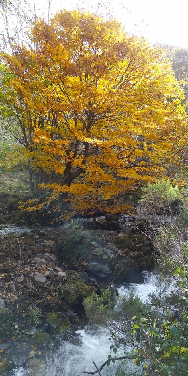 Sierra de la Demanda, Burgos.