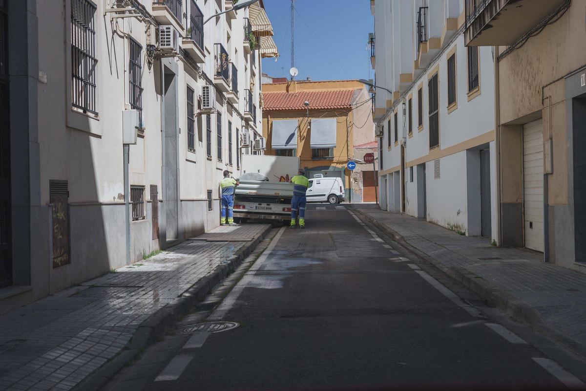 Fotogalería | El empleo en Mérida