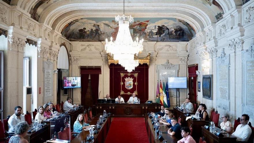 El Pleno de Málaga aprueba de forma definitiva la ordenación del sector San Julián