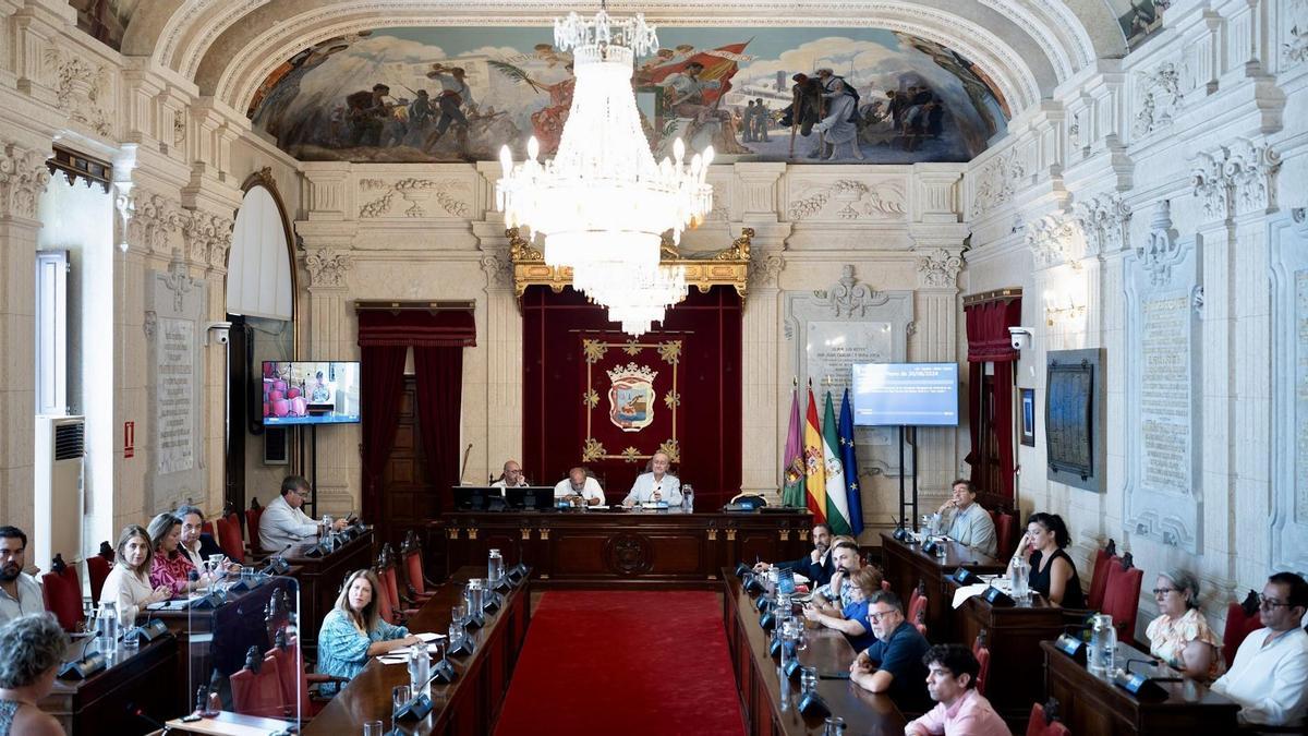 Pleno extraordinario del Ayuntamiento de Málaga