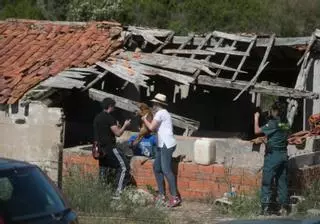 Maltrato animal en Zamora: le prohíben tener animales y lo detienen con más de 40 en una finca