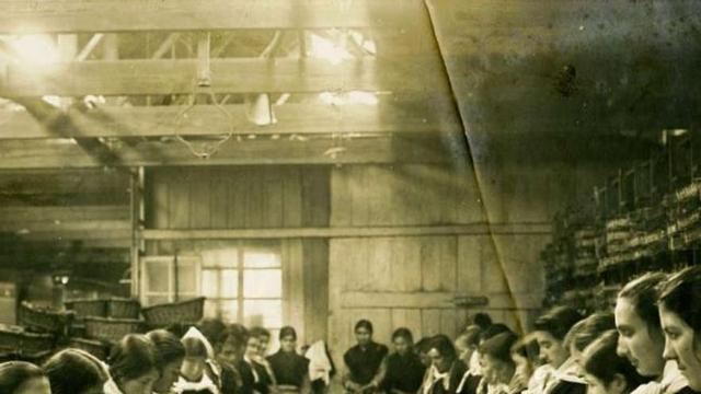 Mujeres de la factoría Massó de Bueu, trabajando con la sardina.  // Fondo Museo Massó de Bueu