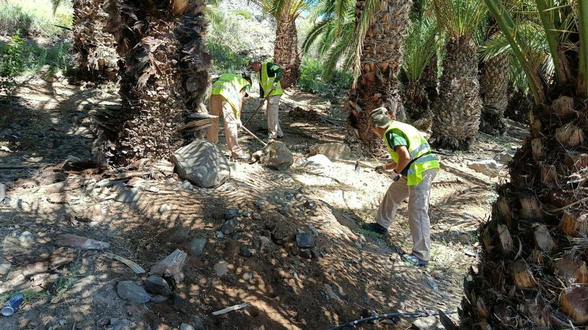Tres miembros del equipo del programa ‘Emplea Verde SBT’ retirando residuos vegetales del municipio.