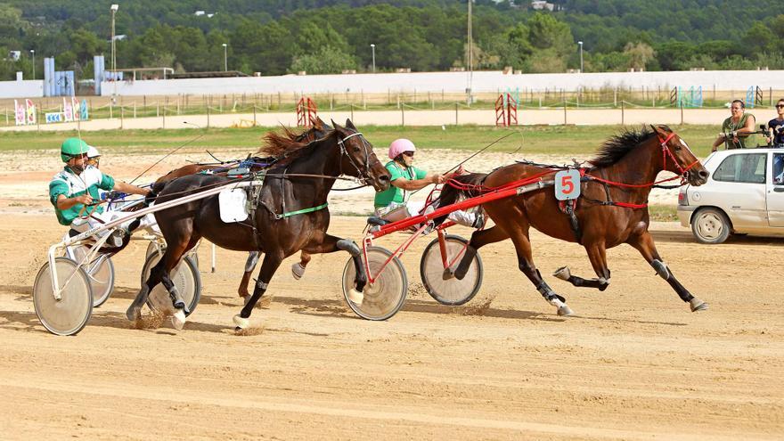 Vicente Marí regresa a lo grande al hipódromo de Sant Rafel con Invictus CB