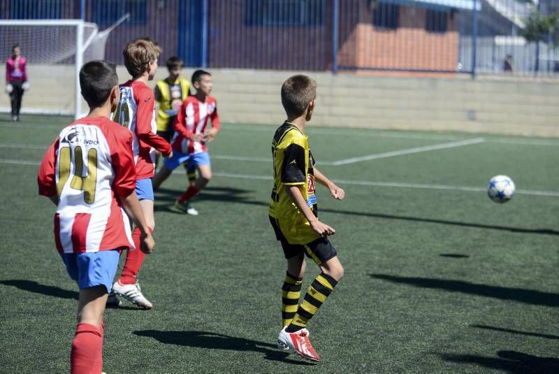 FÚTBOL: Tauste A - Teruel A (Alevín)