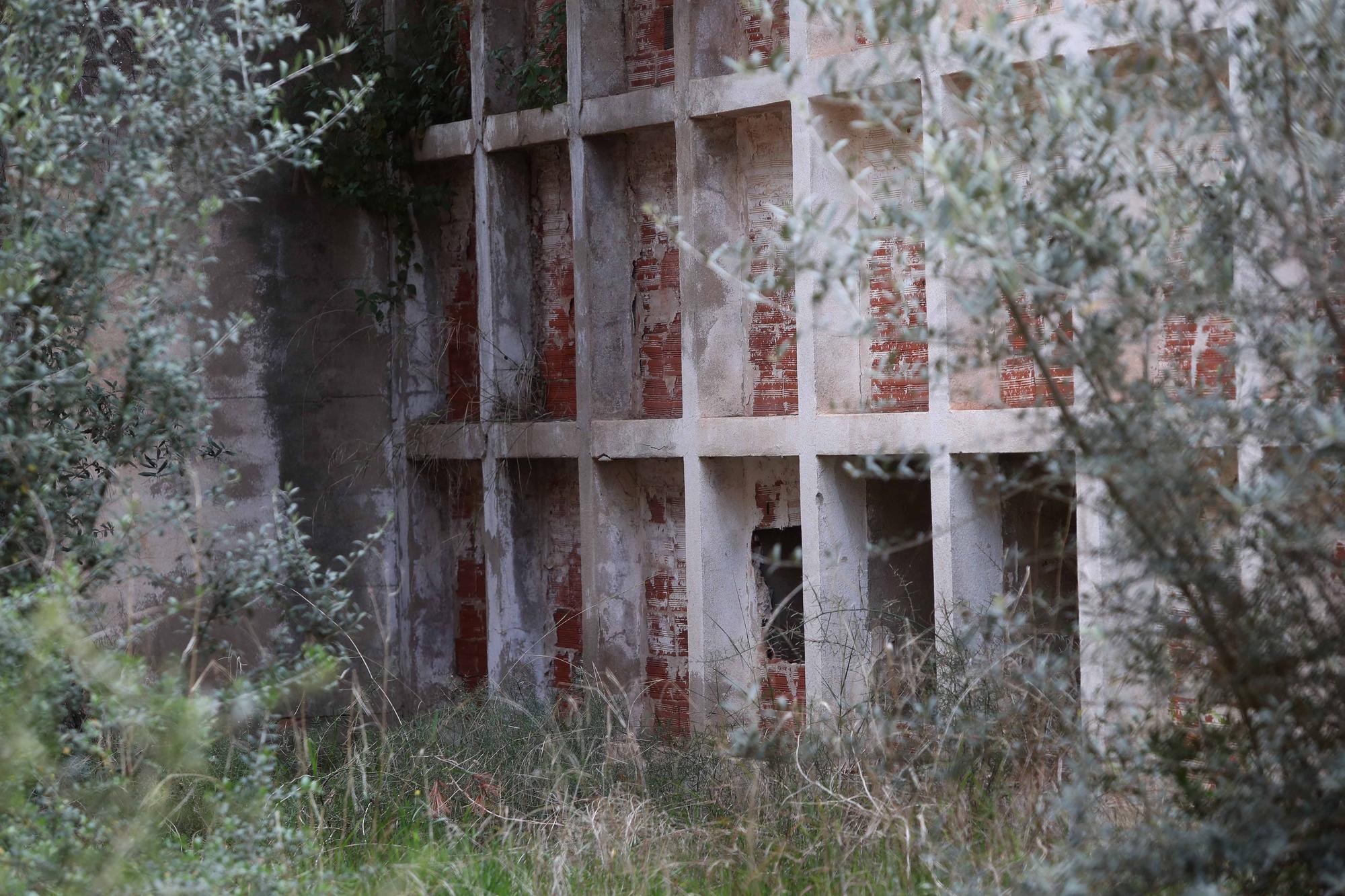 El cementerio abandonado de Moncada que te recordará a las películas de zombies