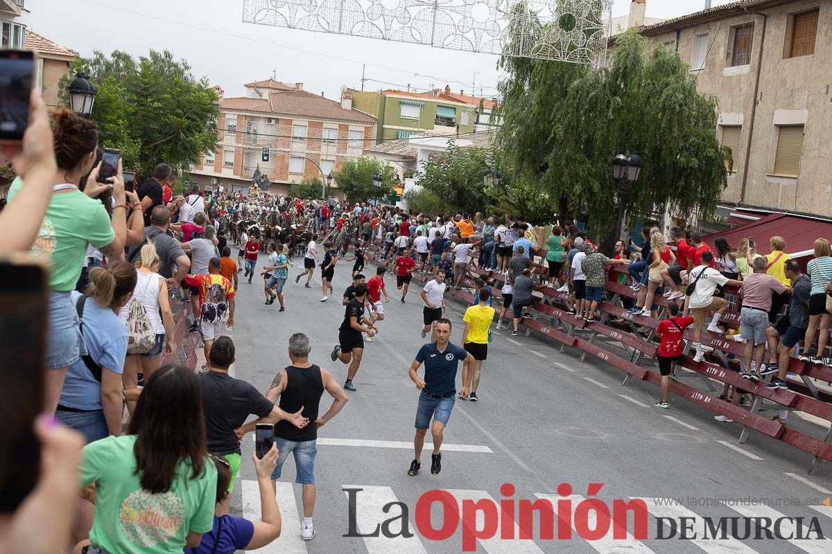 Cuarto encierro en las Fiestas de Moratalla