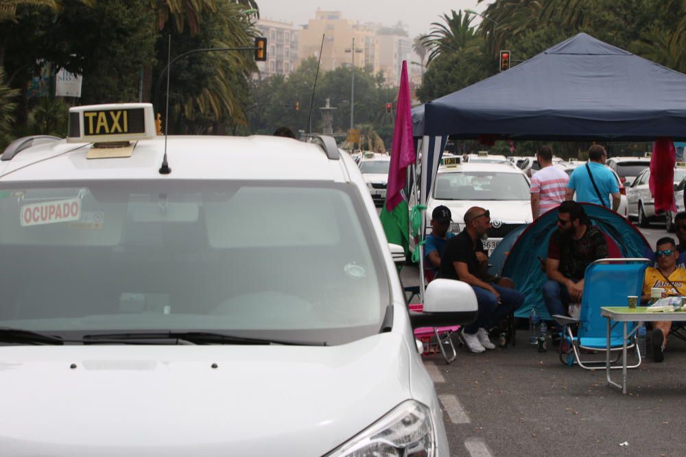 Los taxistas, acampados en el Paseo del Parque en una acción similar a las del Paseo de la Castellana de Madrid o la Gran Vía de Barcelona