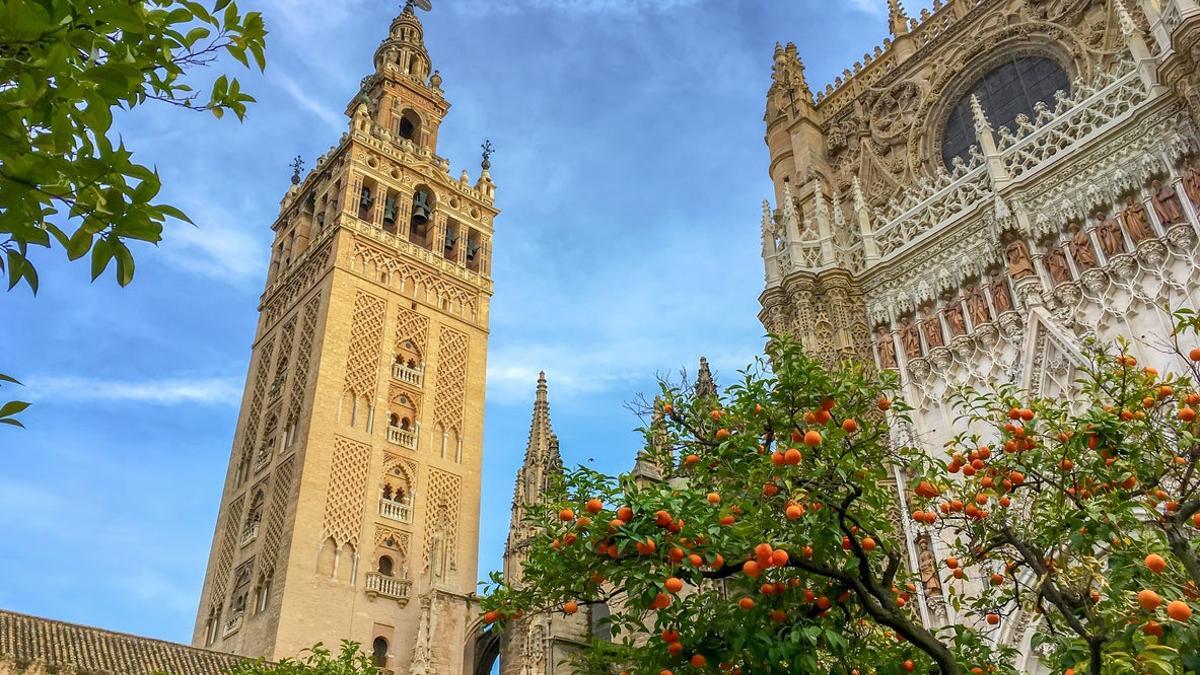 Naranjos en catedral de Sevilla