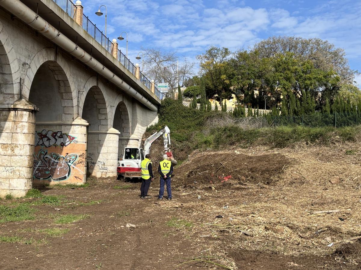 Los trabajos para eliminar la caña invasora.