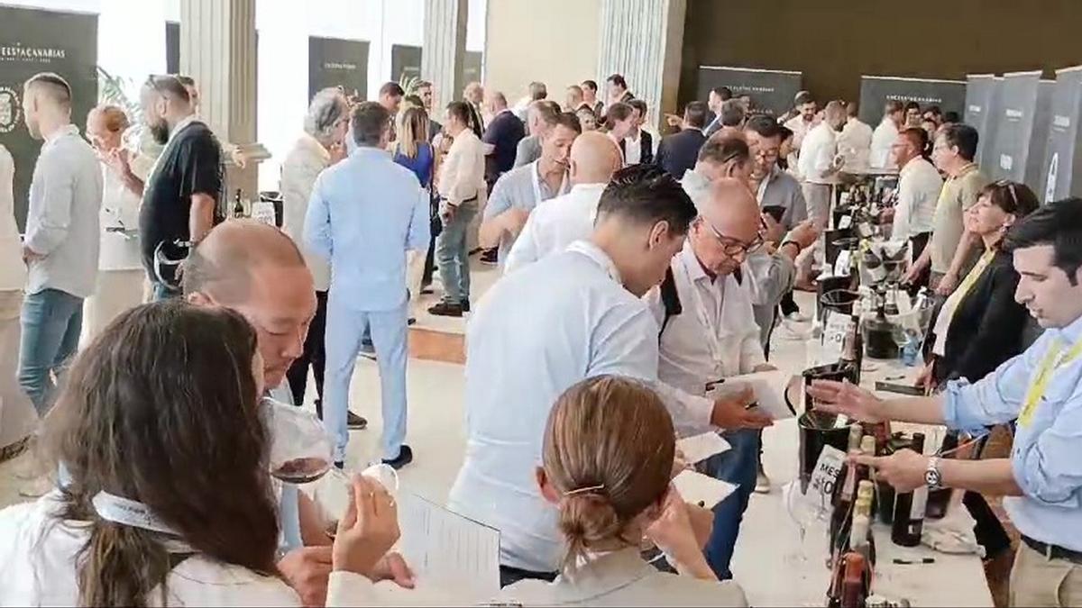 El 'Tour Wine Torres' ofrece los mejores vinos de 32 bodegas en Las Palmas de Gran Canaria