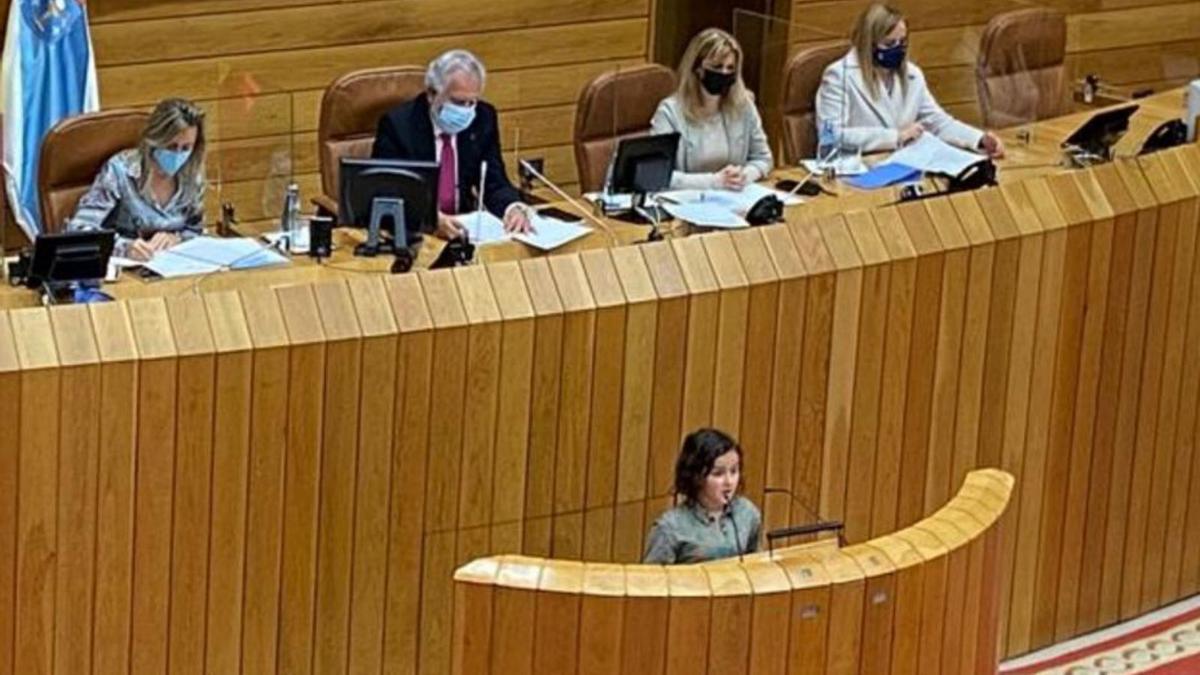 Cayetana Guede, durante su intervención en el Parlamento, ayer.