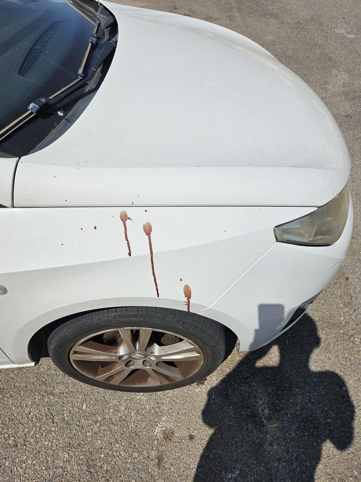 Manchas de sangre en el coche de la víctima tras la agresión.