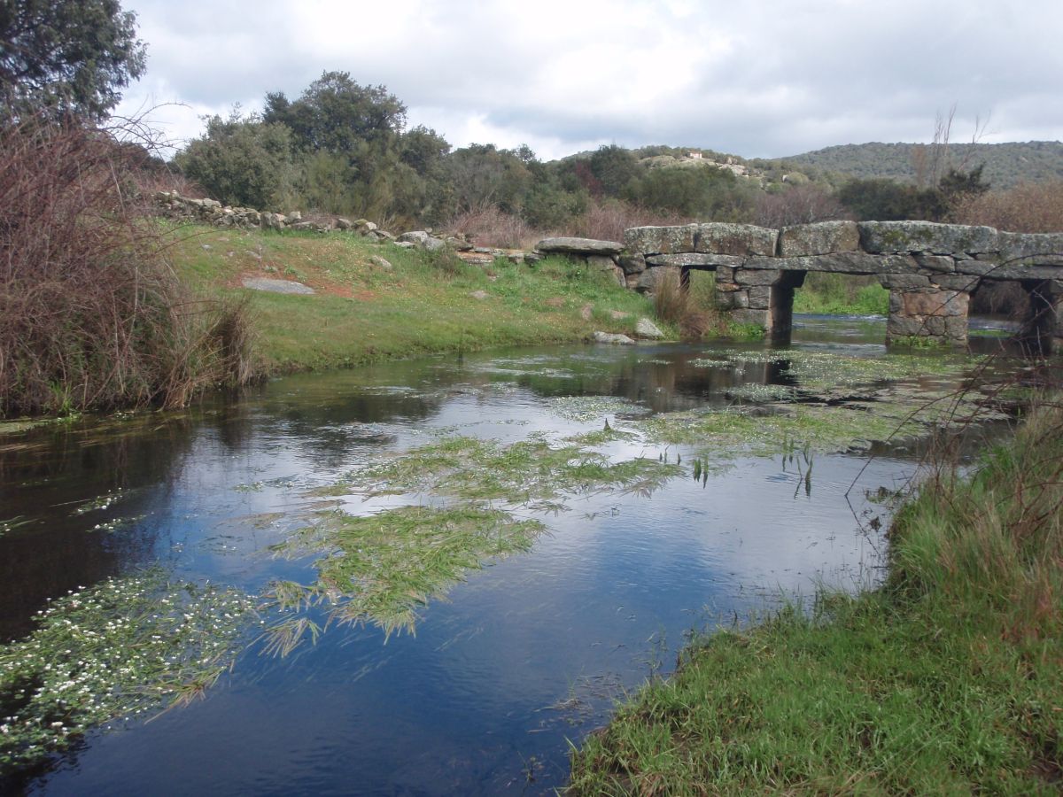 Garciotum al Monte