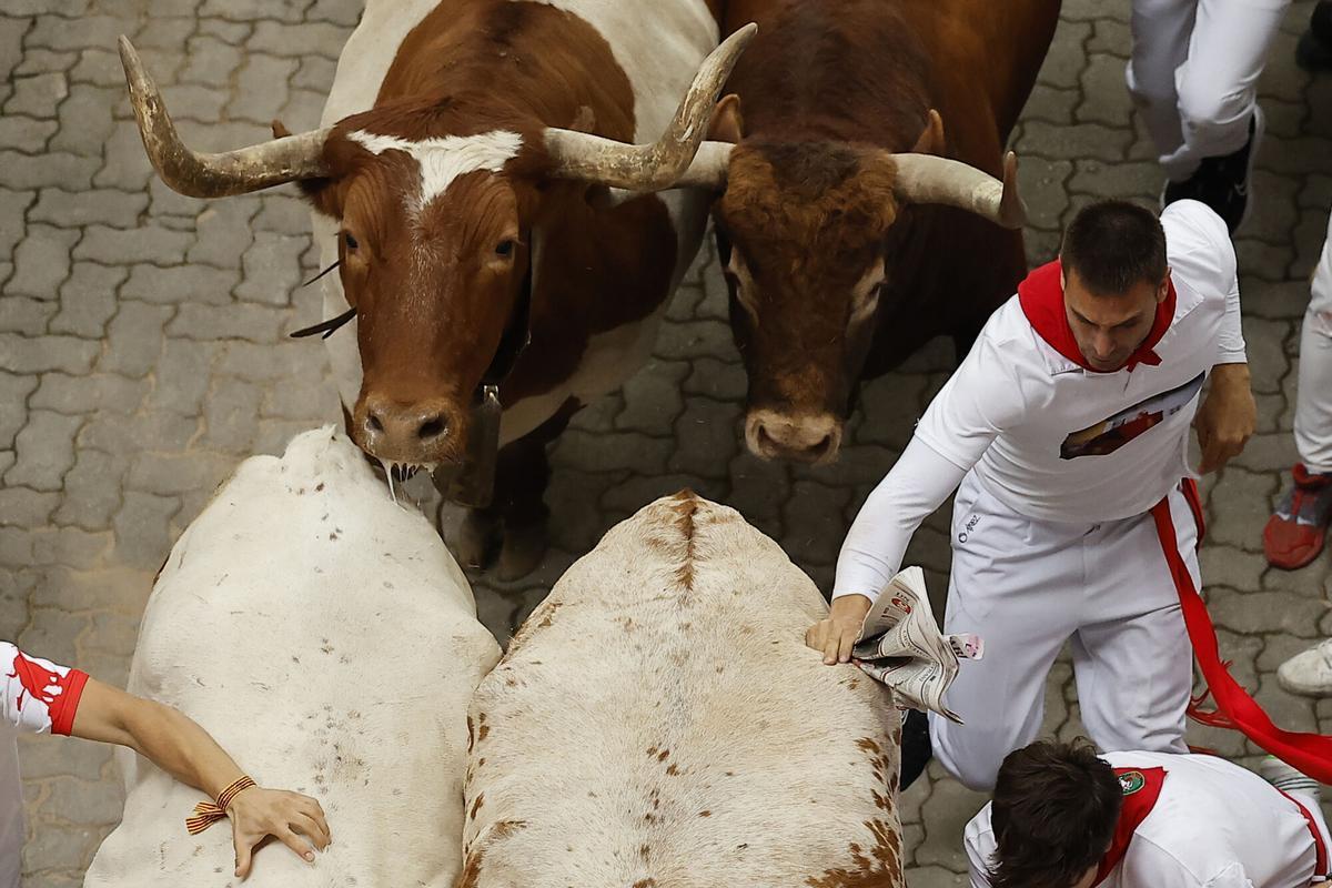 Veloz encierro de Álvaro Núñez con los toros liderando la carrera.