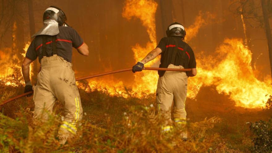Los héroes que luchan contra los incendios en Galicia