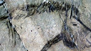 Resuelto el misterio de las pinturas rupestres de la Edad de Hielo