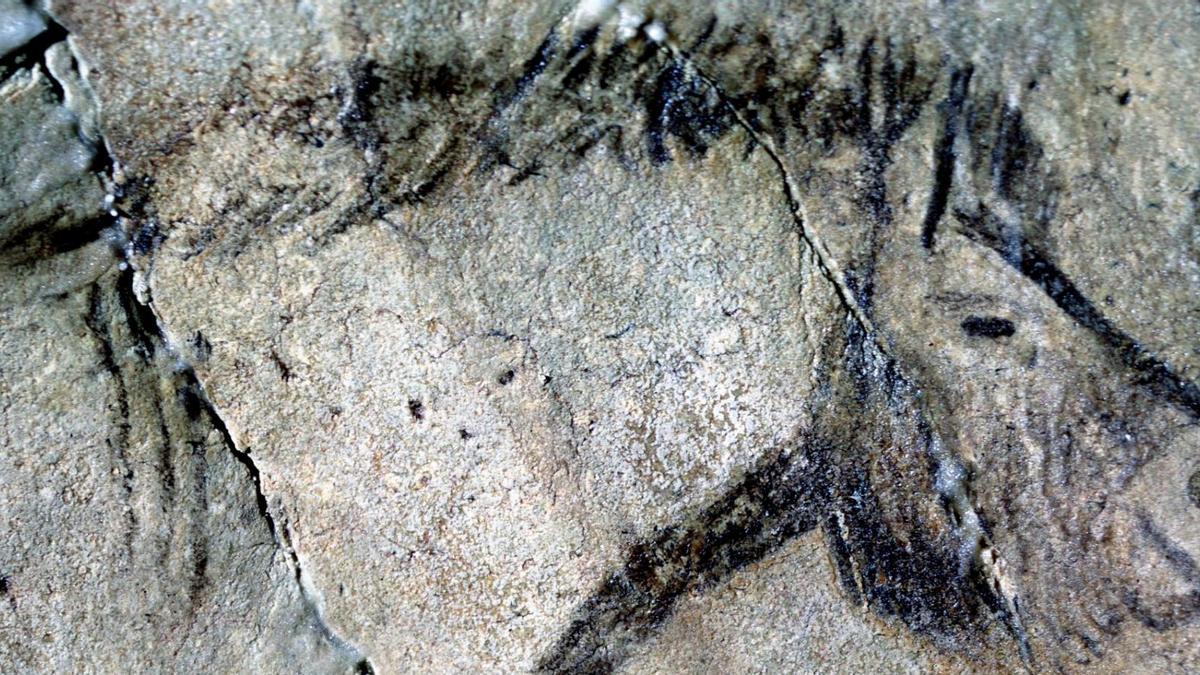 Caballo tirado sobre la pared de la cueva de Niaux (Ariège, Francia) hace unos 15.000 años.