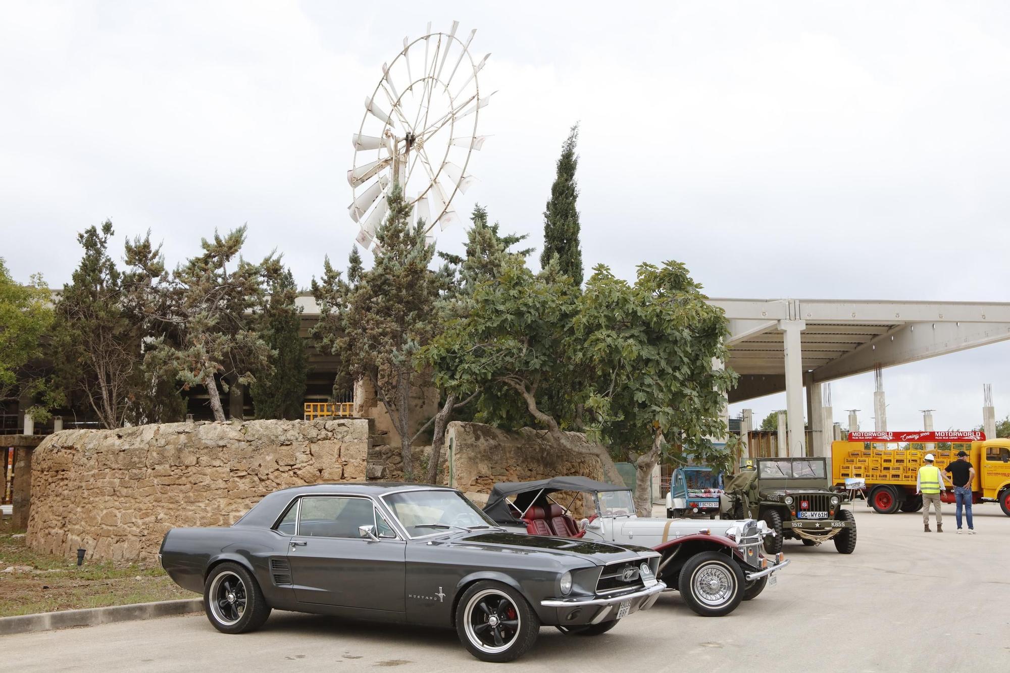 Autofreunde aufgepasst: Bei der Mallorca Car Week sind Oldtimer zu sehen