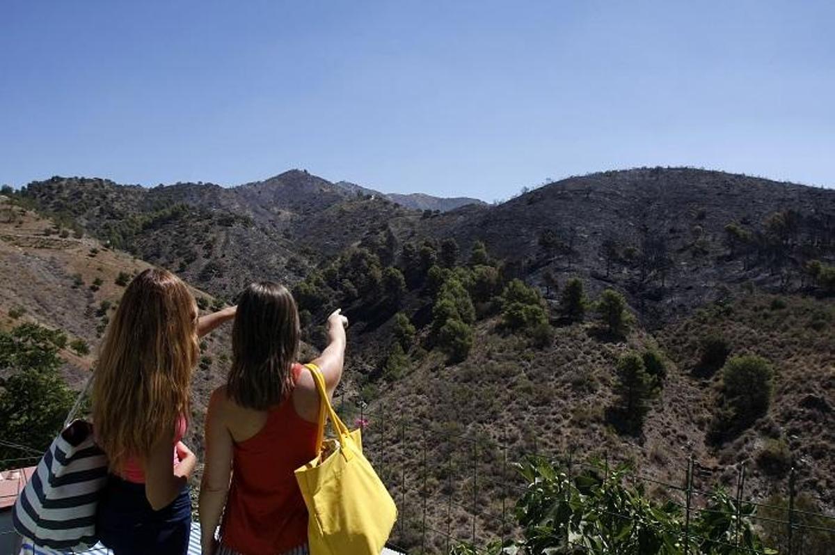 Imagen del Parque Natural Montes de Málaga.