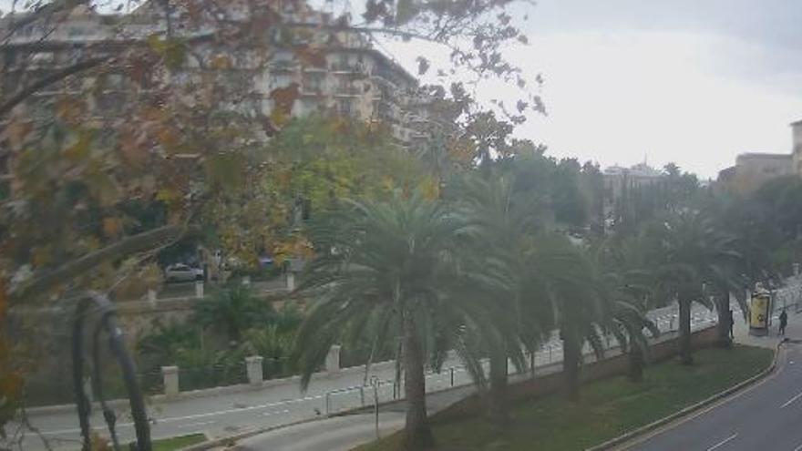 Stürmisch und ungemütlich: So wird das Wetter auf Mallorca am Wochenende