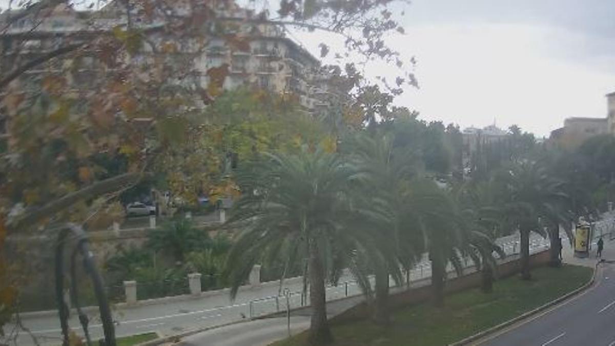 Livecam-Aufnahme von Palmas Passeig Mallorca am Freitagmittag (20.1.)