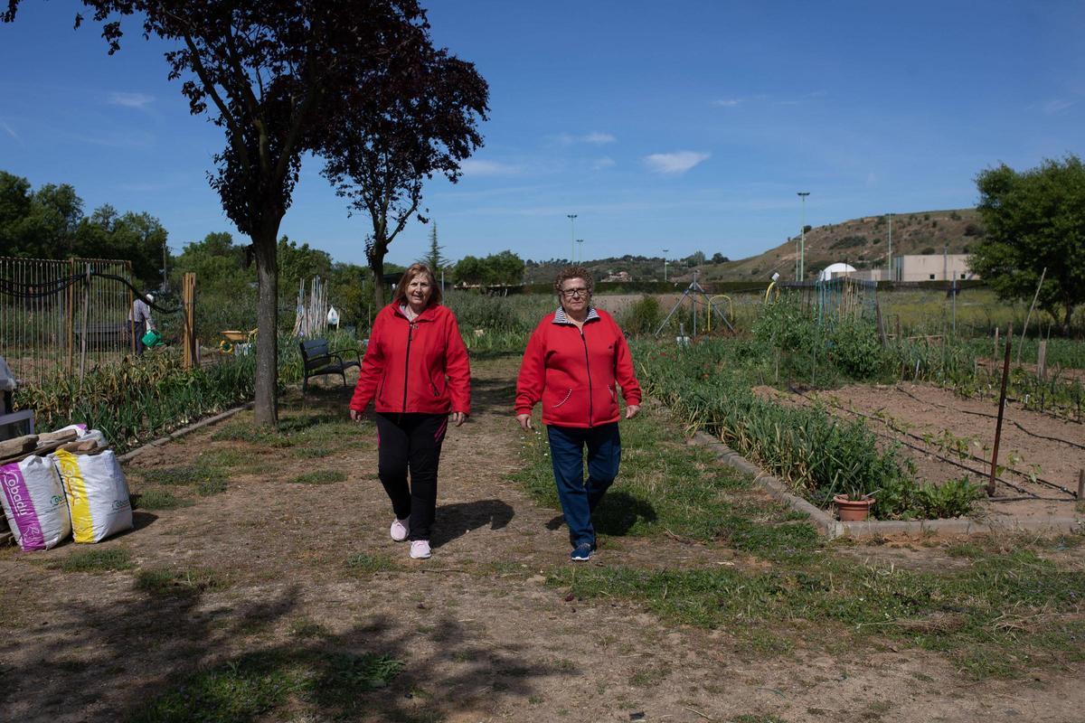 GALERÍA | Huertos municipales en Zamora: Creando comunidad entre tomates y cebollas