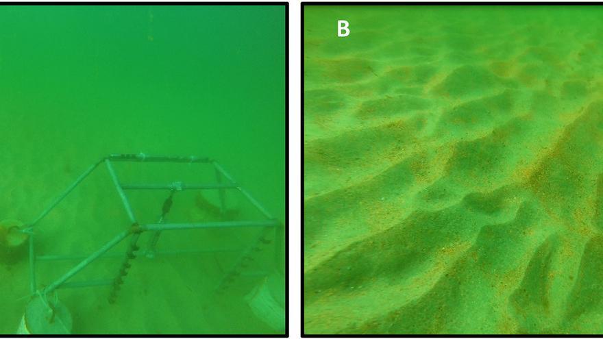 La UVigo testa en Patos el uso de arena fluorescente para estudiar el desplazamiento de los sedimentos