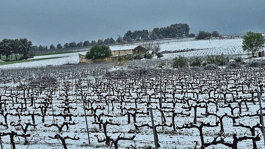 Una copiosa ventisca deja hasta 5 cm de nieve en dos horas en Bocairent | PERALES IBORRA 