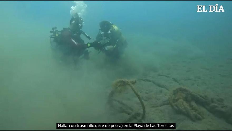 Hallan un trasmallo de más de cuarenta metros en la playa de Las Teresitas