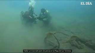 Hallan un trasmallo de más de cuarenta metros en la playa de Las Teresitas