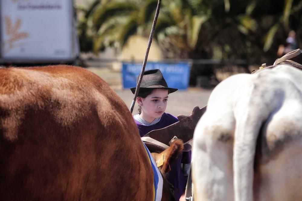 Tributo a la mujer en el deporte autóctono