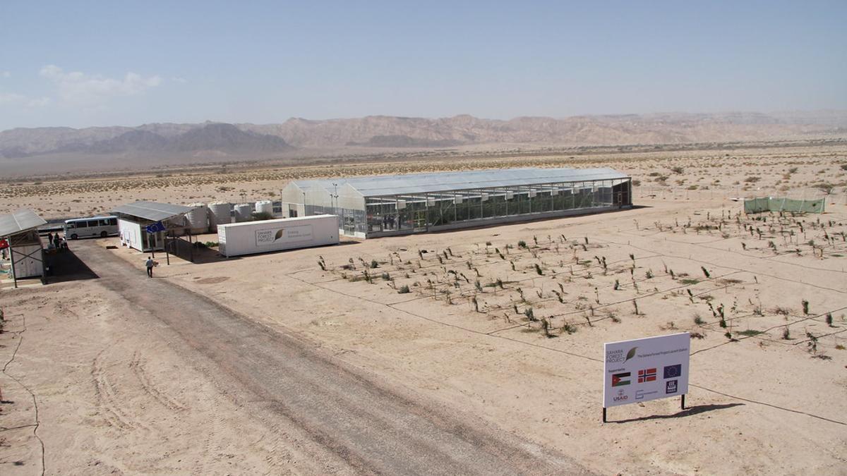 Invernaderos en el desierto de Aqaba