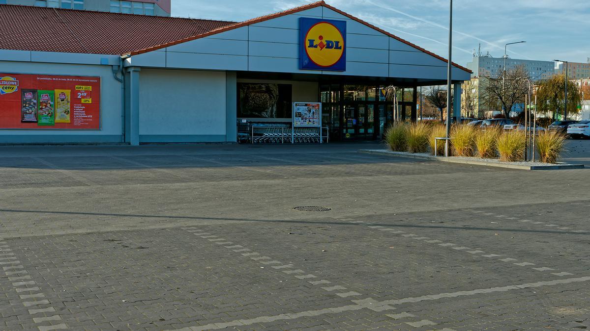 Mañana se esperan colas kilométricas en Lidl para conseguir el jardín vertical para terraza más barato del mercado: por solo 7,99 euros