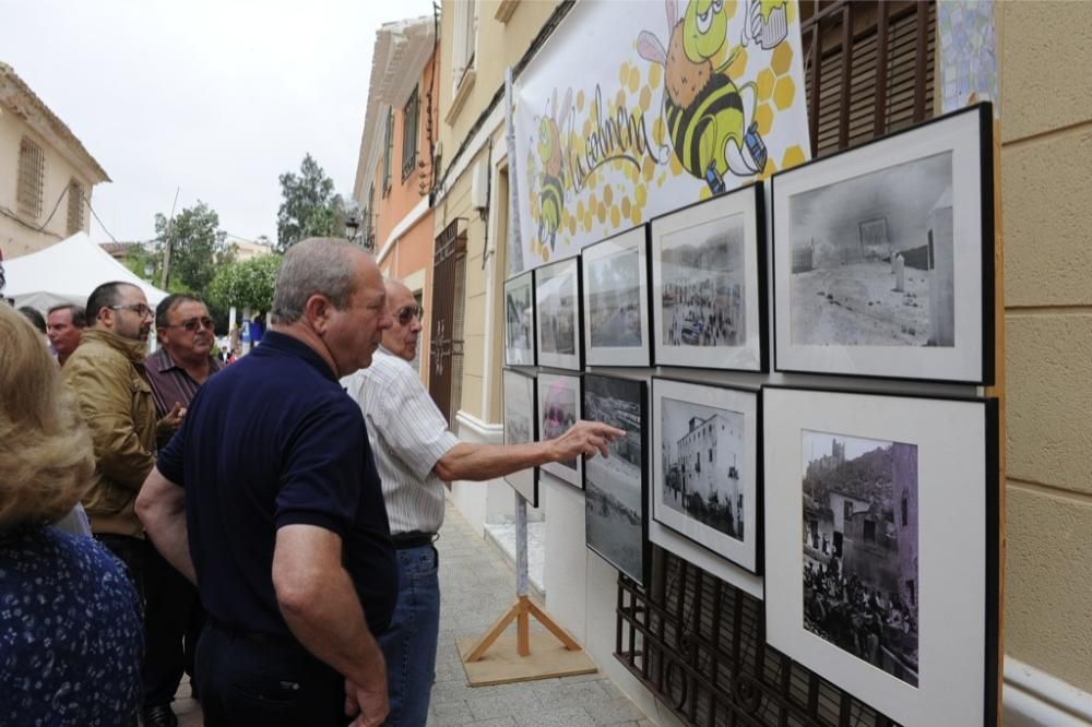 Alhama disfruta con la fiesta de los Mayos