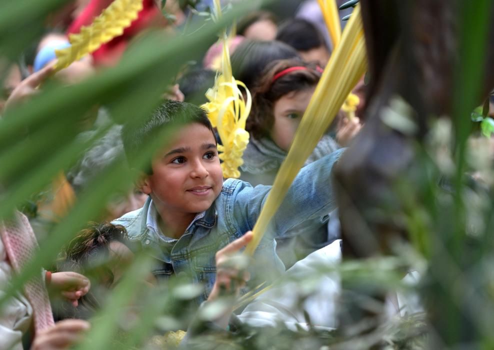 Semana Santa en Pontevedra 2016 | La Burrita recupera el recorrido entre la iglesias de San José y la escalinata de San Francisco