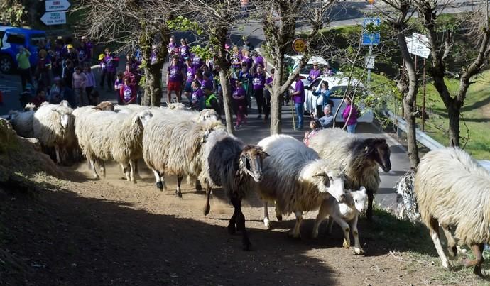 08-03-2020 VALLESECO. Feria del Queso y ruta trashumante femenina en el Cruce de Cueva Corcho. Fotógrafo: ANDRES CRUZ  | 08/03/2020 | Fotógrafo: Andrés Cruz