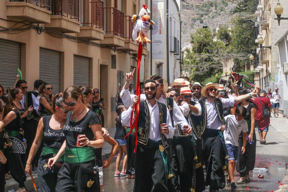 Búscate en el Día del Pájaro de Orihuela