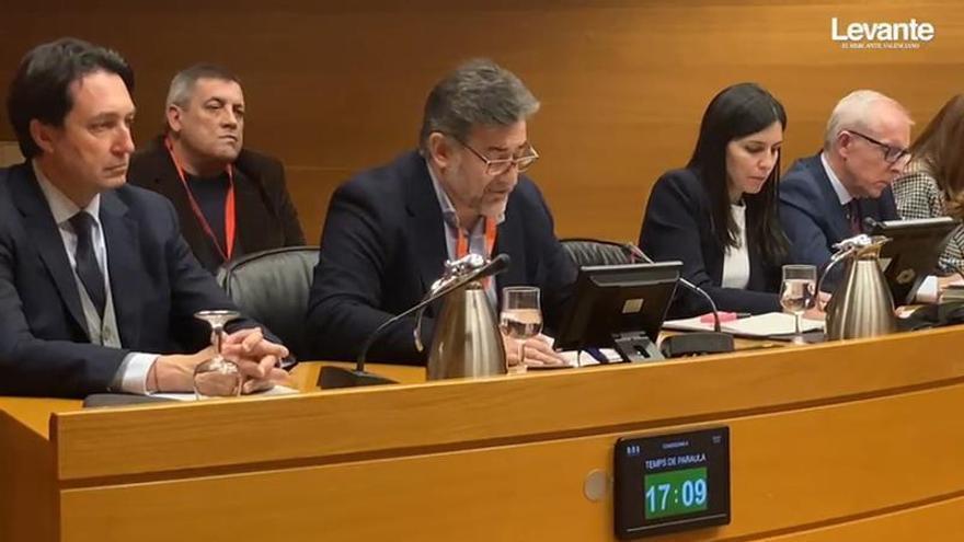 Vídeo: Comparecencia en la comisión de la dana de la asociación "Tots a una Veu".