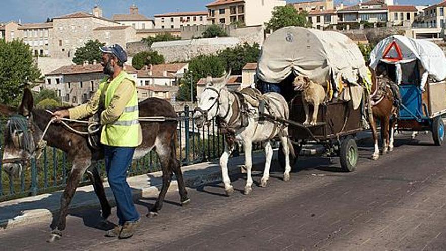 Mateo Rodríguez Blanco con uno de sus burros a su paso por el puente de Piedra rumbo a Extremadura.