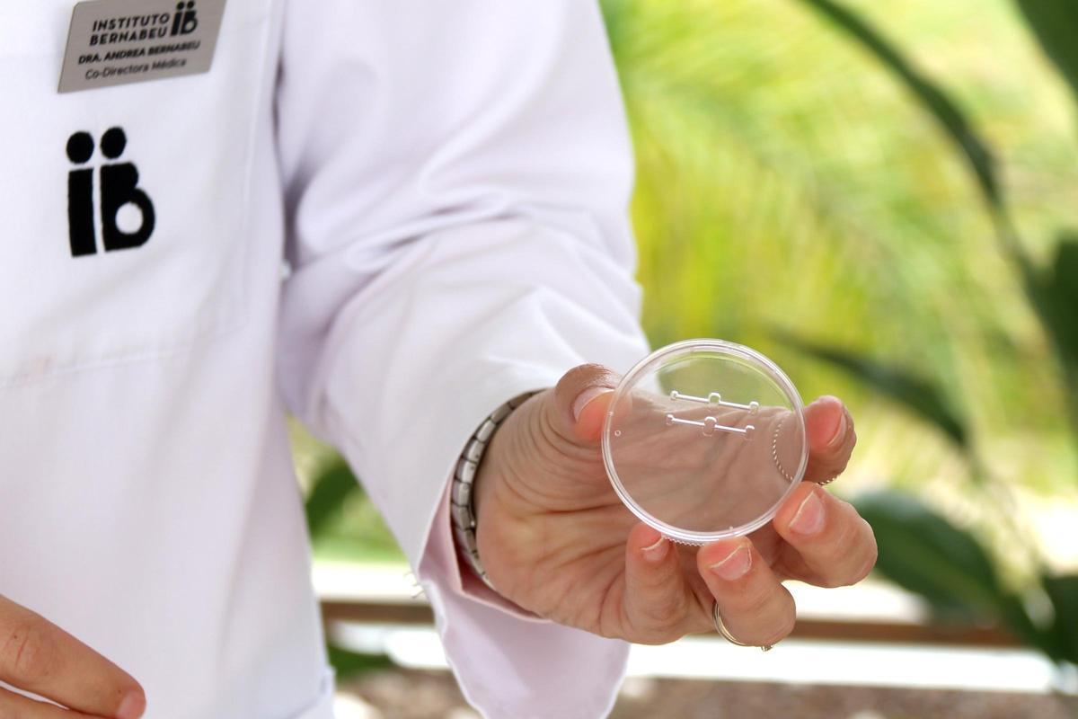 Detalle de la novedosa placa