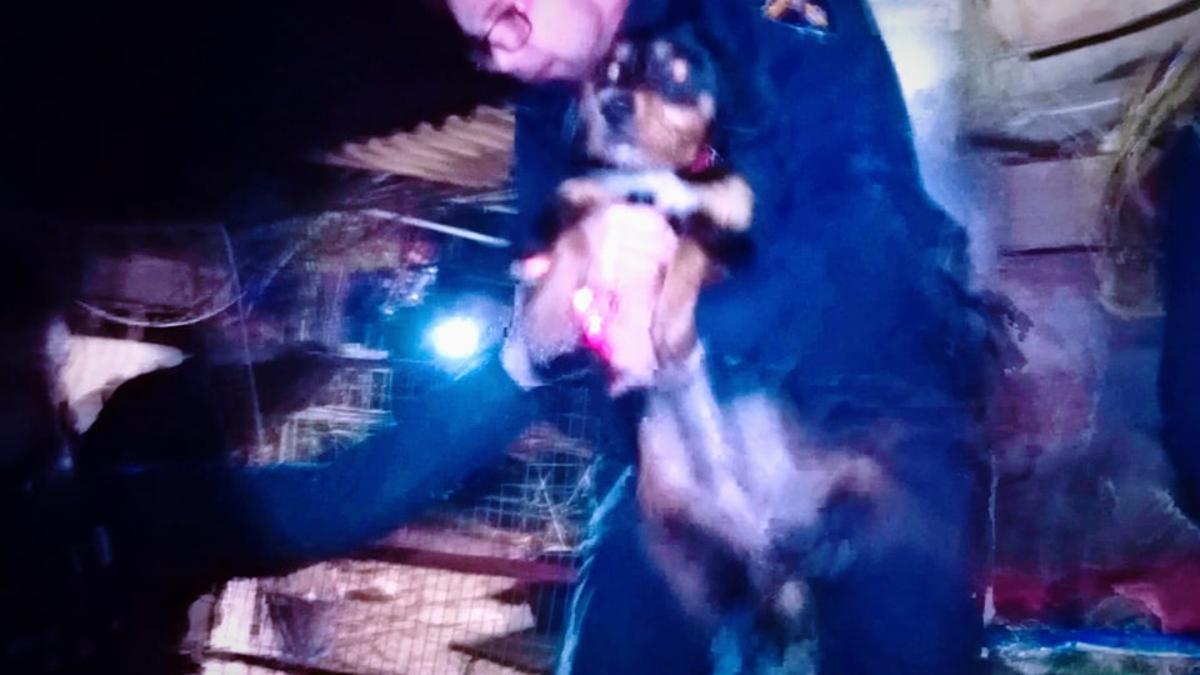 Un policía, con la perrita rescatada en el pozo.