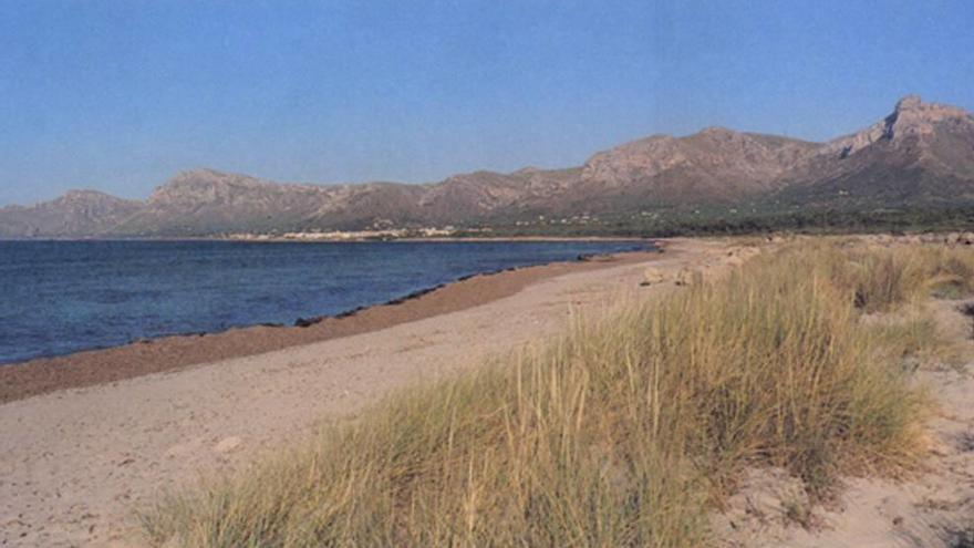 Panorámica de la playa de Sa Canova en el municipio de Artà.